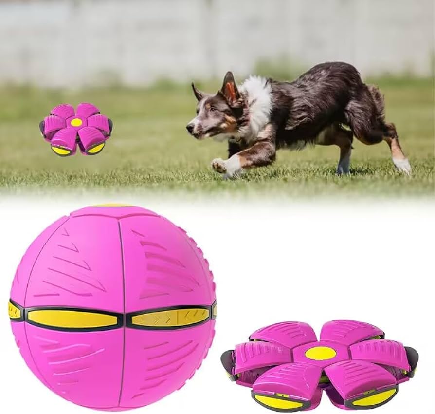 A incrível bola voadora - PET TOY™ - 2X1 OFERTA - (VENDA DE FECHAMENTO)