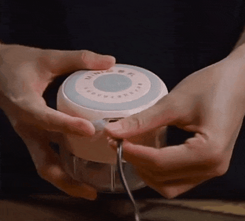 Simplifique a sua cozinha - Electric Food Chopper™- (LIQUIDAÇÃO DE ENCERRAMENTO)